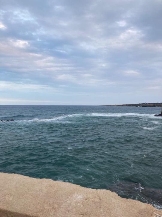 Zeynep Hacıömeroğlu