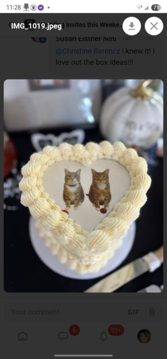 Cat cake?