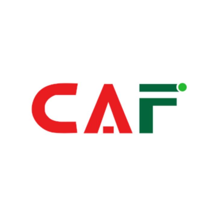 Bảng Giá Dịch Vụ Kiểm Toán - CAF