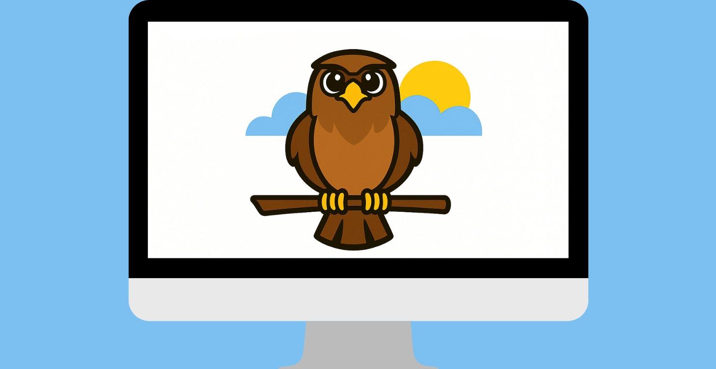 Introduction to Skooly