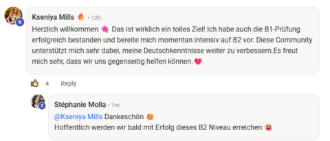 DeutschFIT (German für Profis) gallery image
