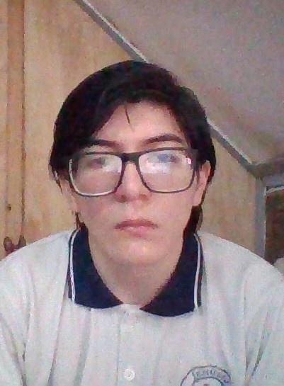 Ernst Enrique Werner