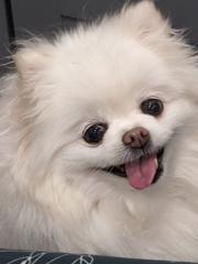 Samuel Soon
