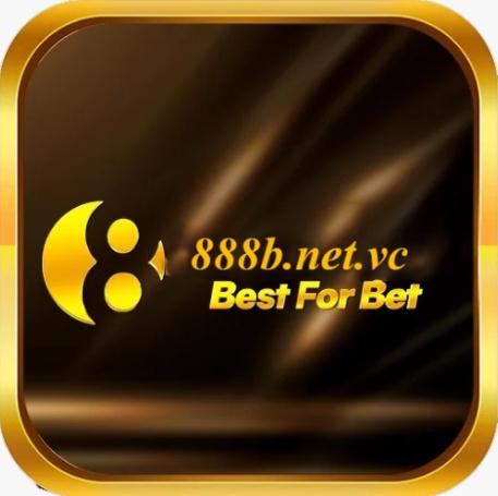 B Netvc