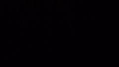 Amir Hossein Hosseini