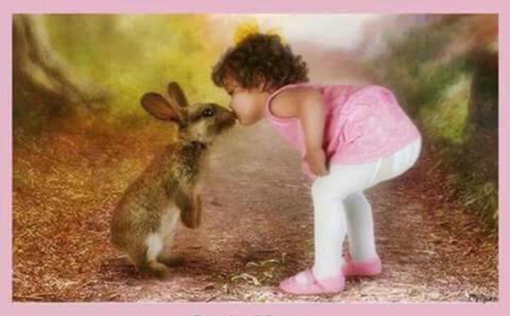 Judy VsW