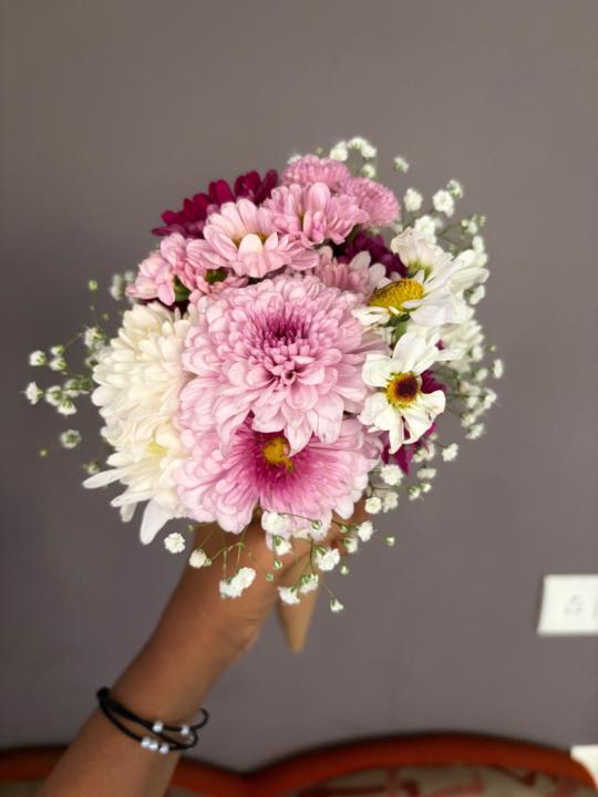 Janitha Jothiprakash