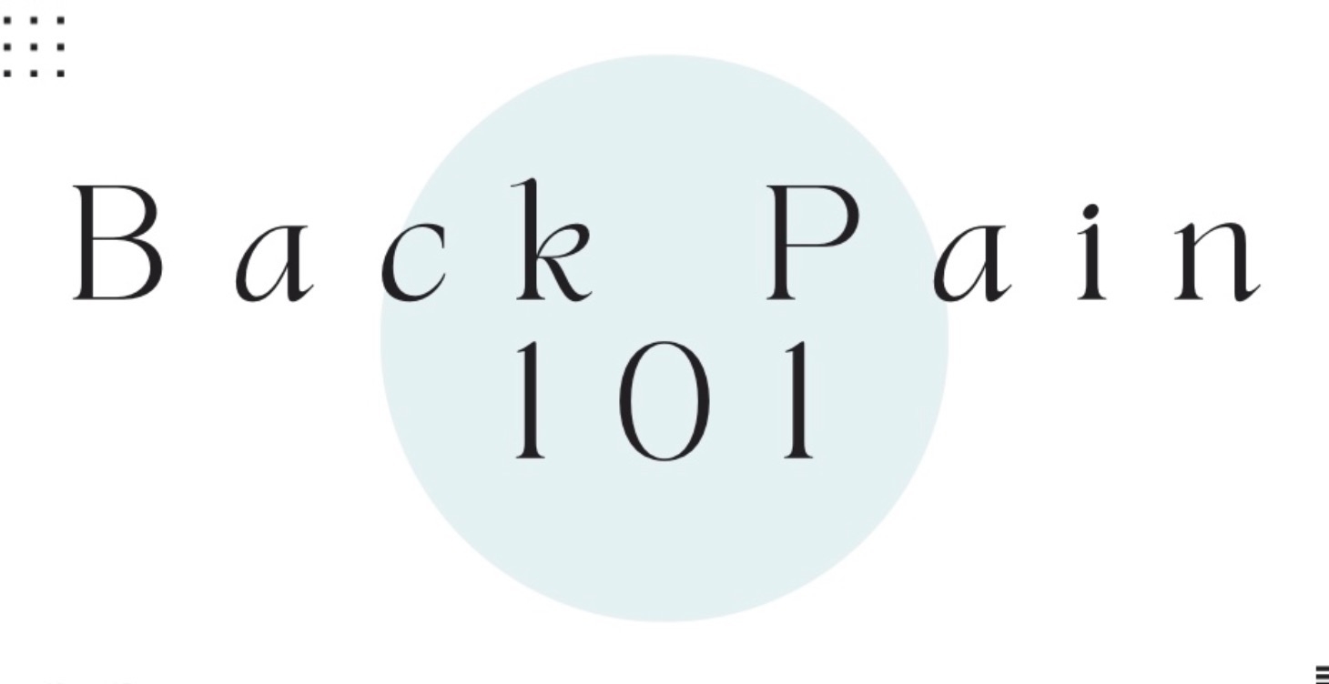 Back Pain 101