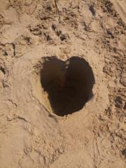 Mónica Siles González