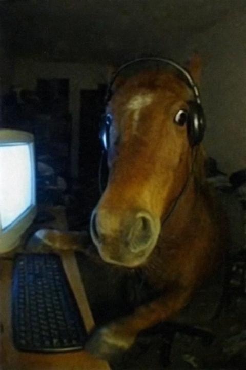 Igor K