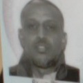 F. Ahmed