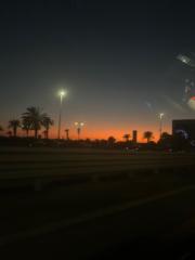 Majed Harbi