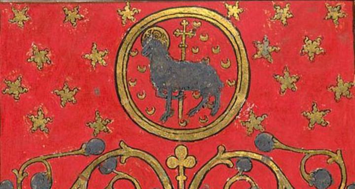 Decodifica tu realidad