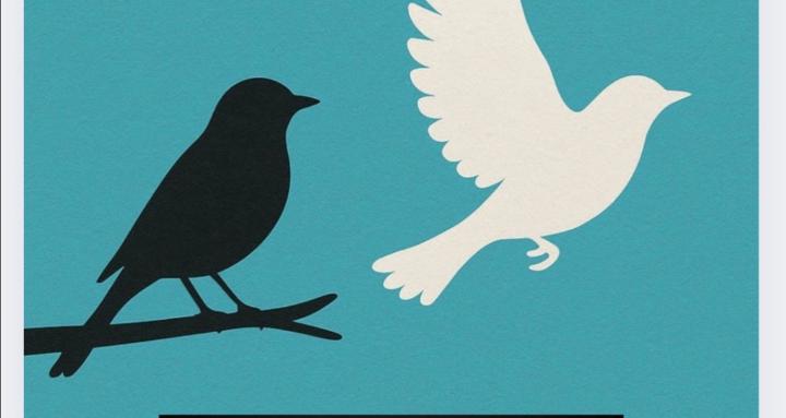 Voice for the Silent