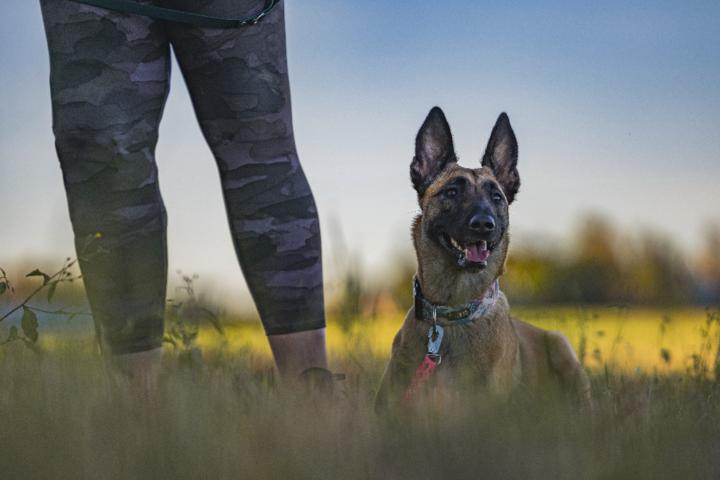 Viretila Oy Mari Wallenius