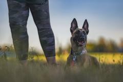 Viretila Oy Mari Wallenius