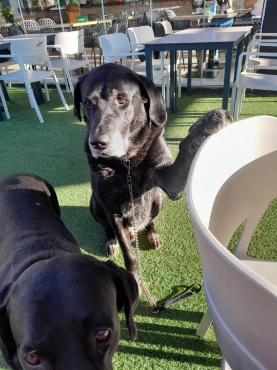 Antonio Jesus Florido Mora