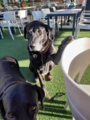 Antonio Jesus Florido Mora