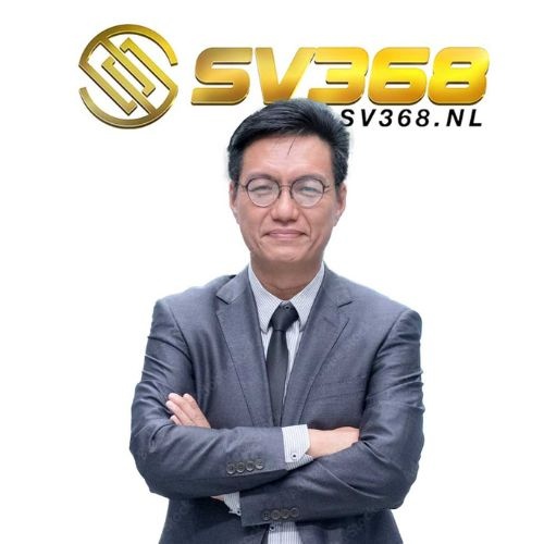 Ceo Roman Vu