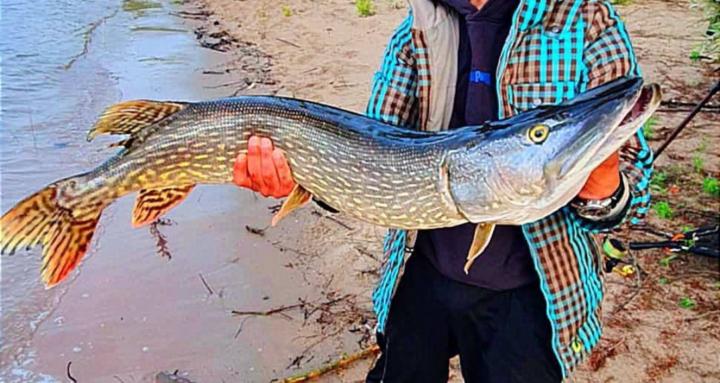 Fishing in the Netherlands