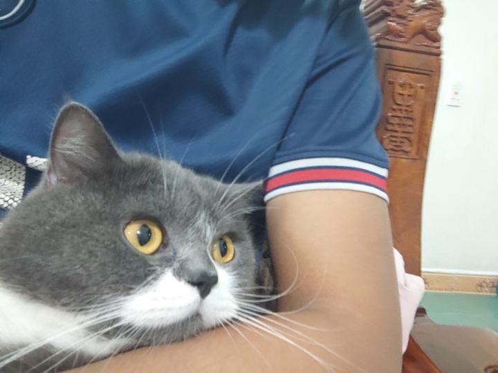 Minh Duc