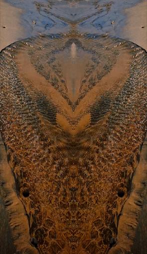 Digital Archaeology, Digital Divination 