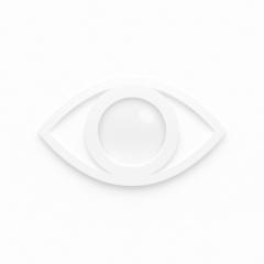 The Eye