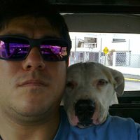 David Arce Hernández