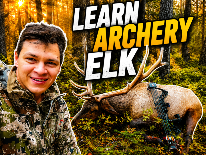 Do you Want to KILL a BULL this Season?