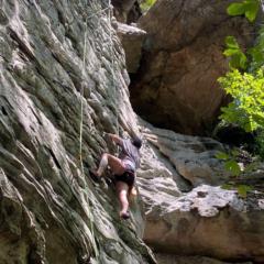 Katie Sprich