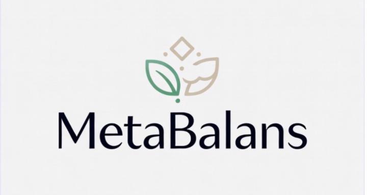 MetaBalans