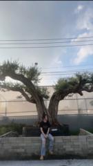 Worawaran Kongvechakul