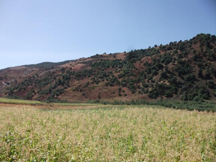 El majdoub Mohamed