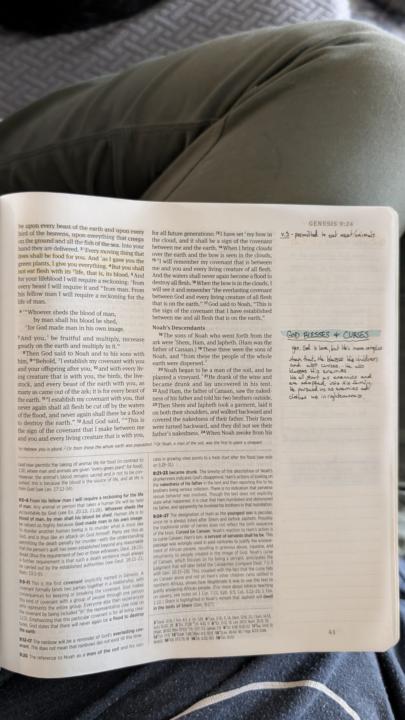 The Bible Recap - Day 3, Gen 8-11