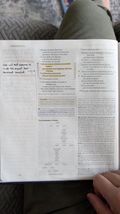 The Bible Recap - Day 2, Gen 4-7