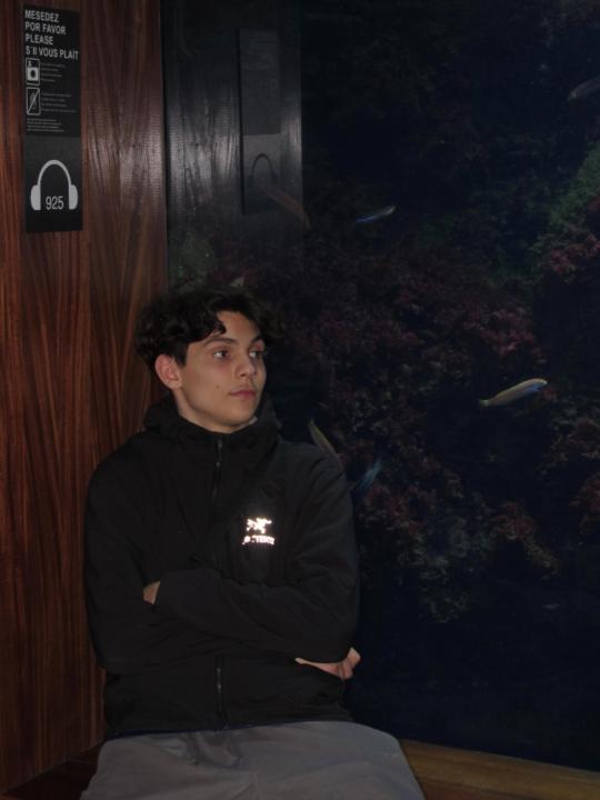 Elvan van Meggelen