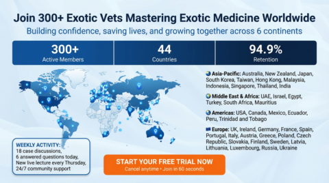 Exotic Veterinary Academy gallery image