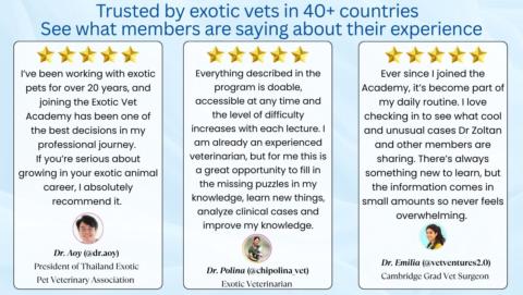 Exotic Veterinary Academy gallery image