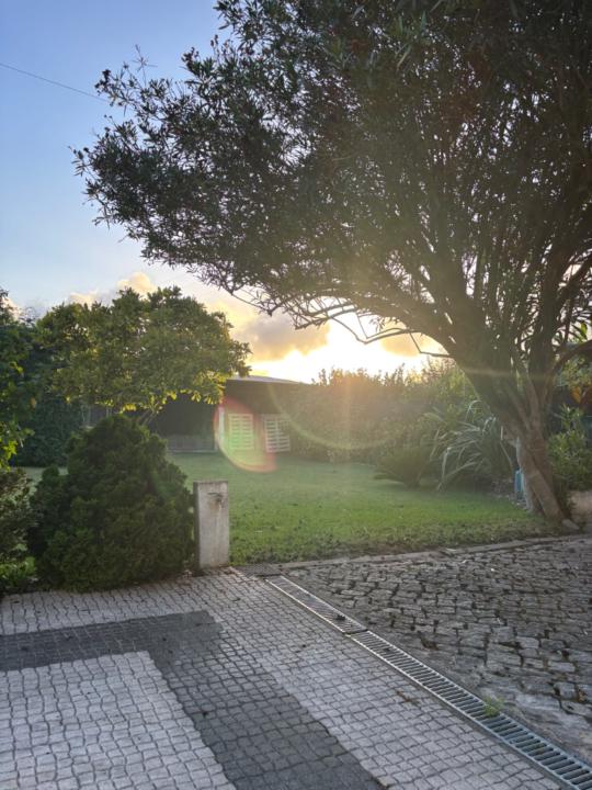 Aline Granja Ferreira Costa