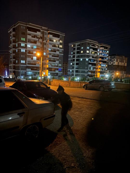 Kerim mert Badem