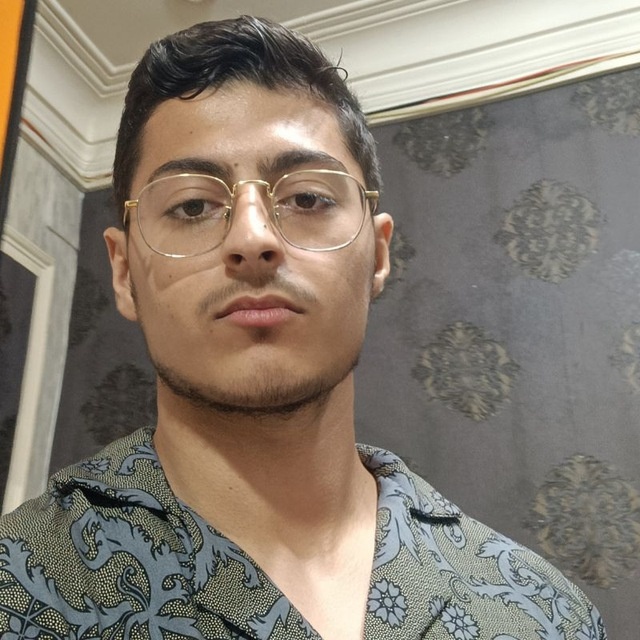Mahdi Luigi