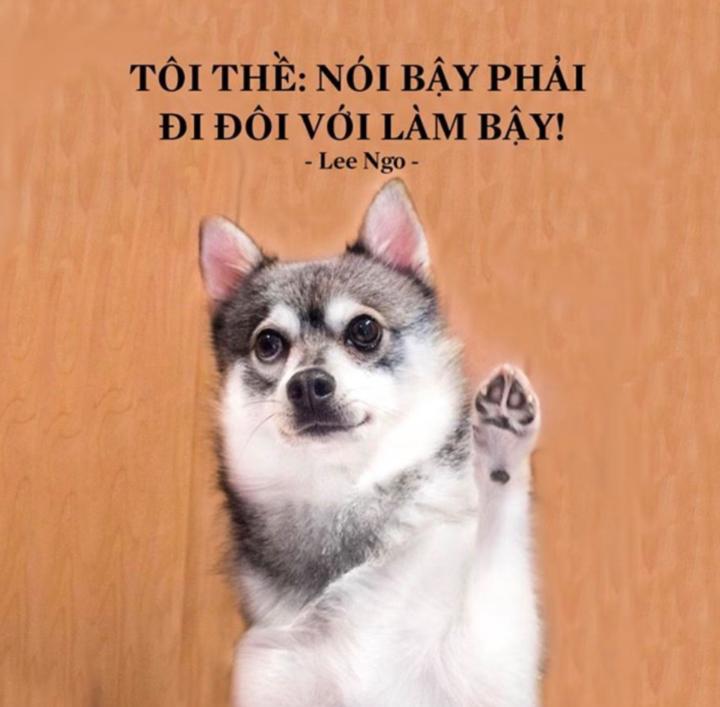 Van Vu
