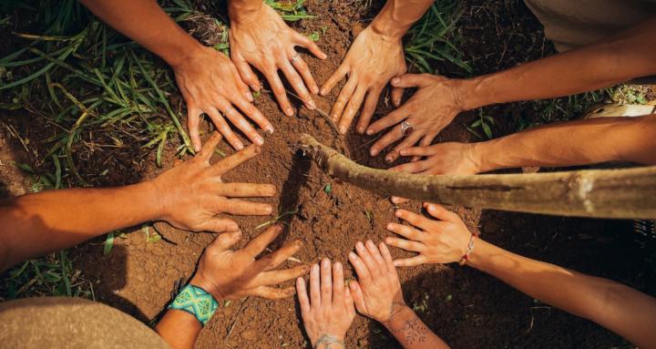 inheritanceCOLLECTIVE