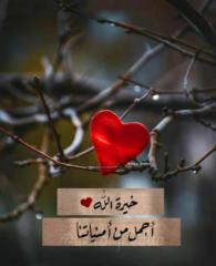 دلال الحربي