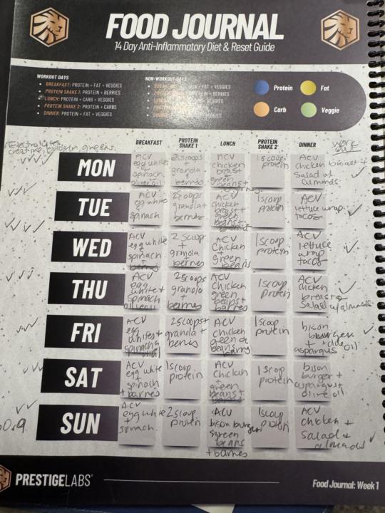 Week 2 Check In