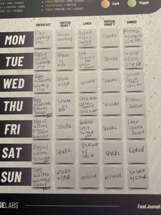 Week 2 Check In