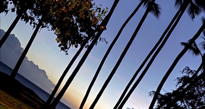 Kanaka Refugeez & Native Exile