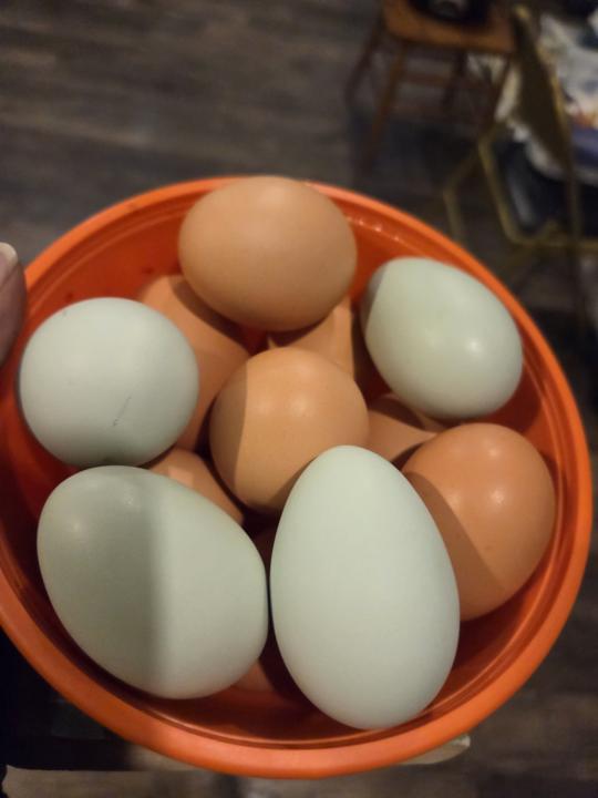 Attention CommuniTea 📣📣