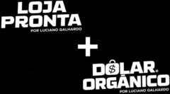 Vinicius lopes Rocha