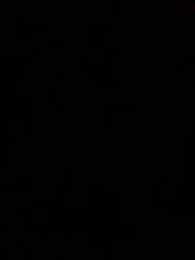 Muhammed Furkan Bilgiç